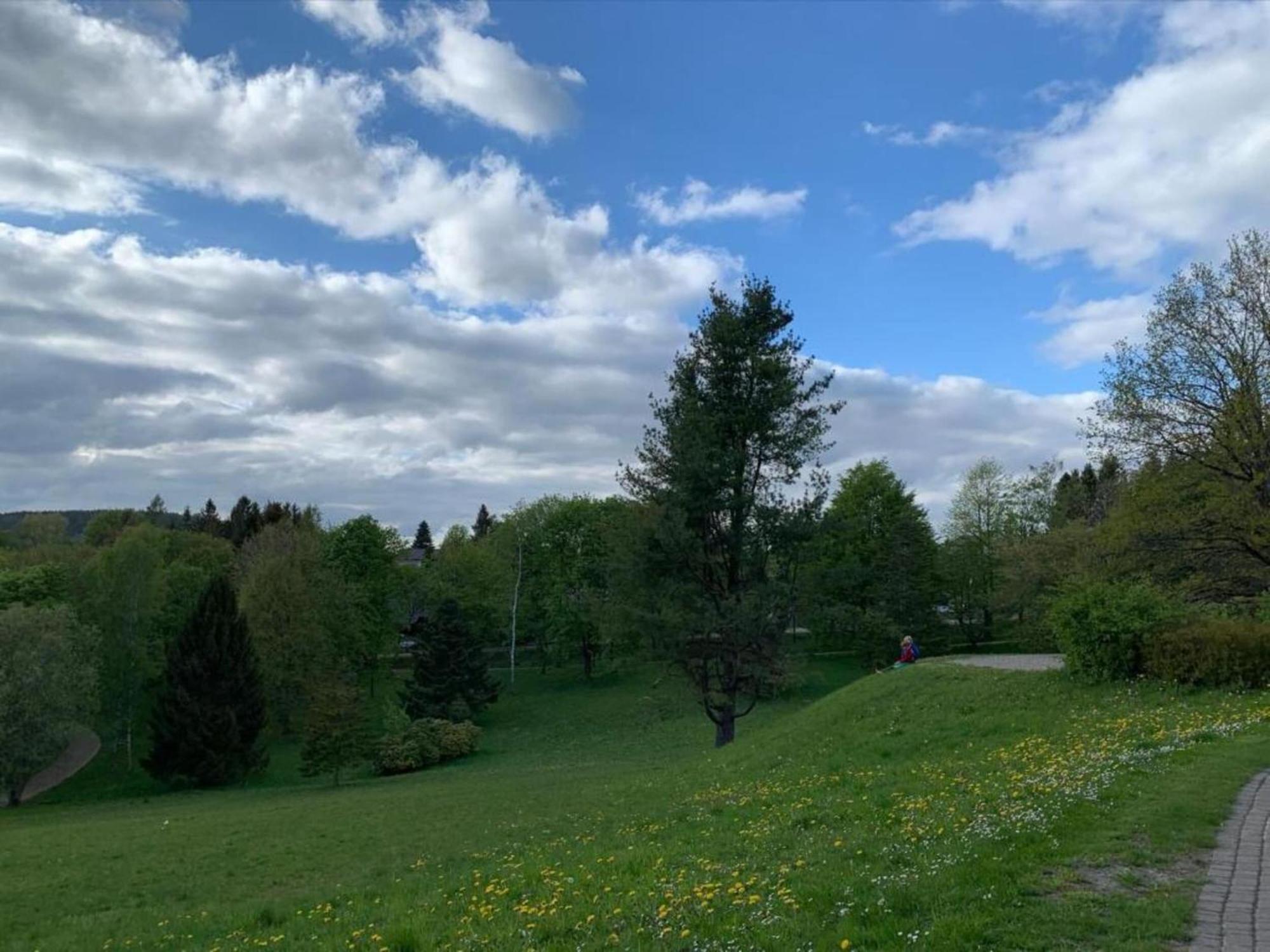 Spacious Near The Area Braunlage